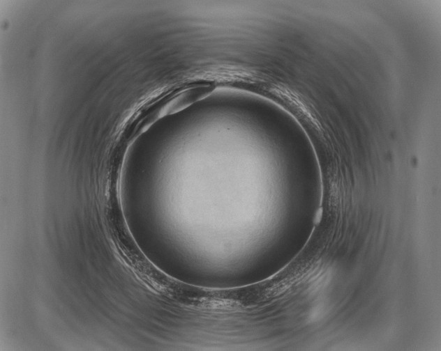 X0000087590539200704271310