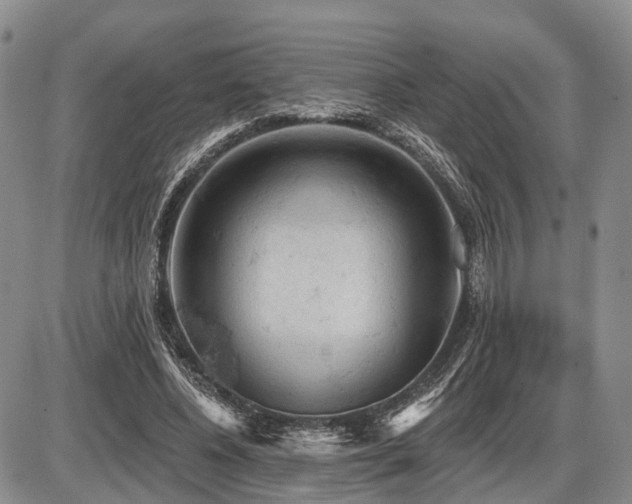 X0000087590540200704271310