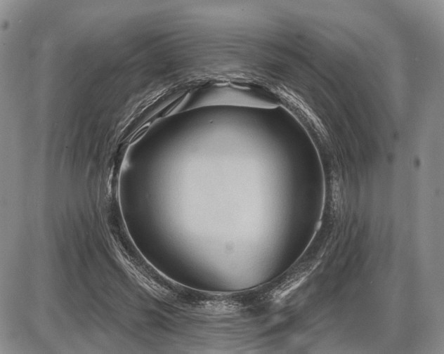 X0000087590541200704271310