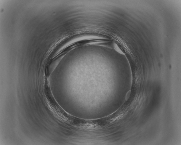 X0000087590542200704271310