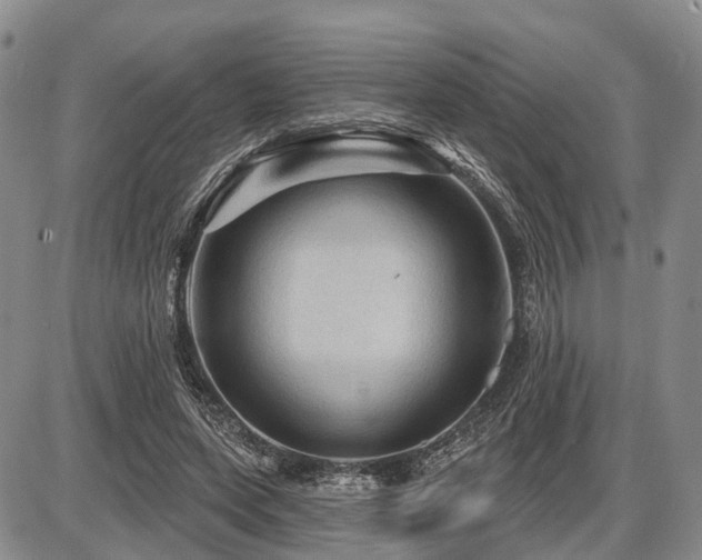 X0000087590543200704271310