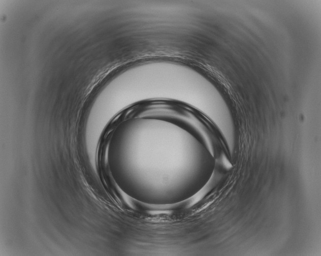 X0000087590544200704271310