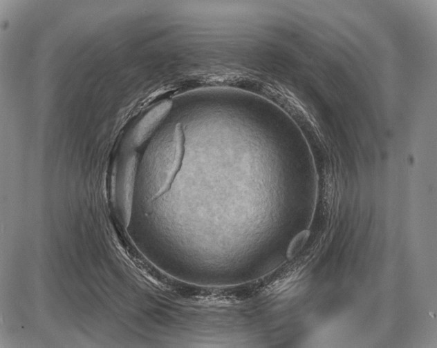 X0000087590545200704271310