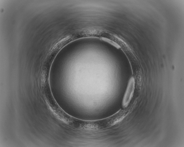 X0000087590546200704271310