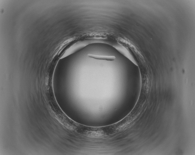 X0000087590548200704271310