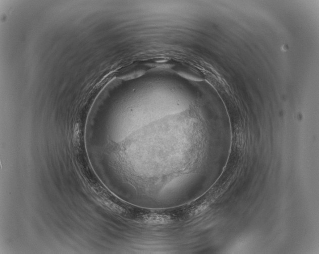 X0000087590549200704271310