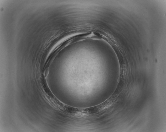 X0000087590550200704271310