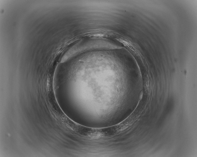 X0000087590551200704271310