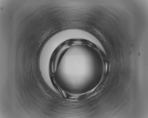 X0000087590552200704271310