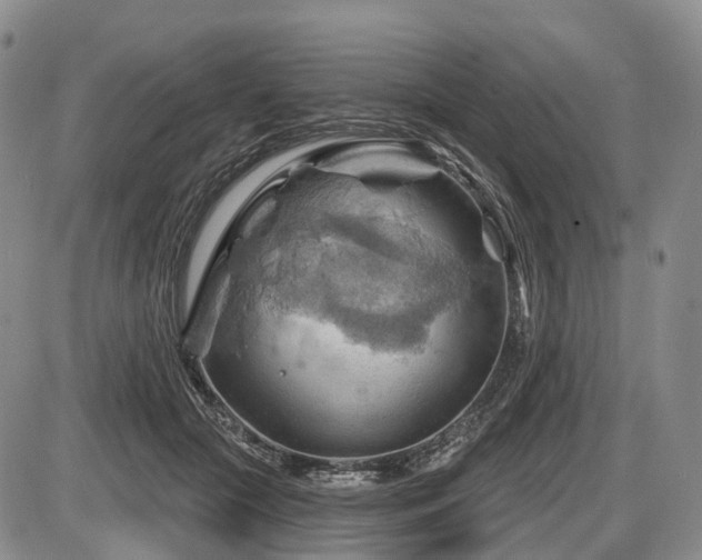 X0000087590553200704271310