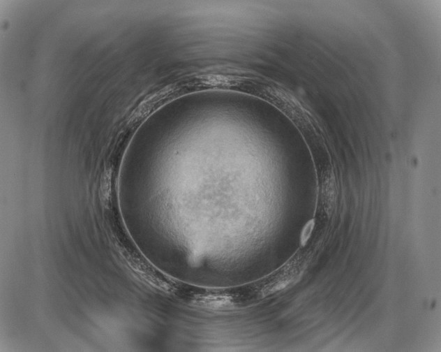 X0000087590554200704271310