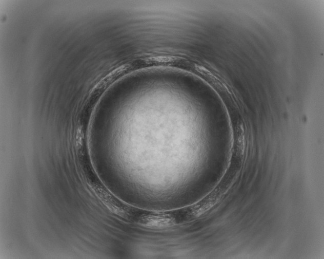 X0000087590555200704271310