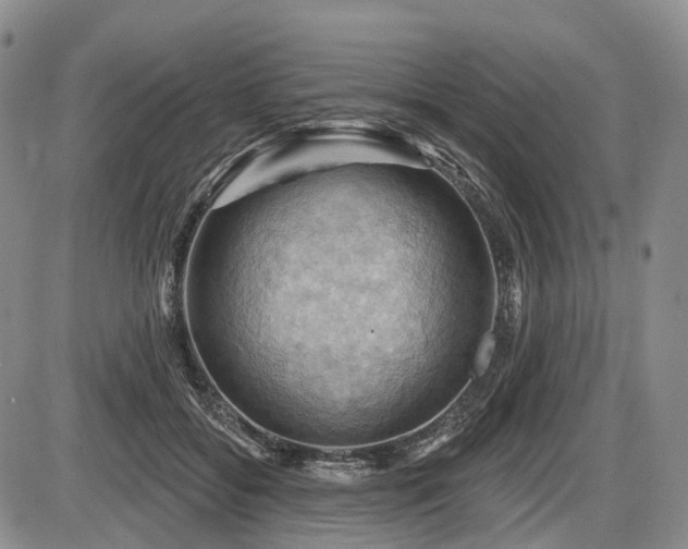 X0000087590556200704271310