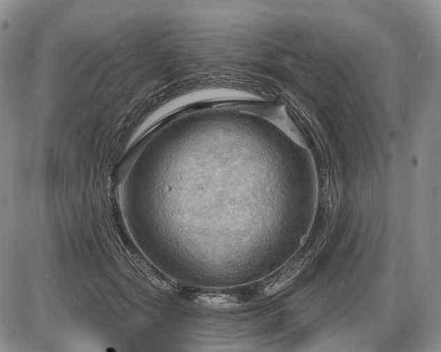 X0000087590557200704271310