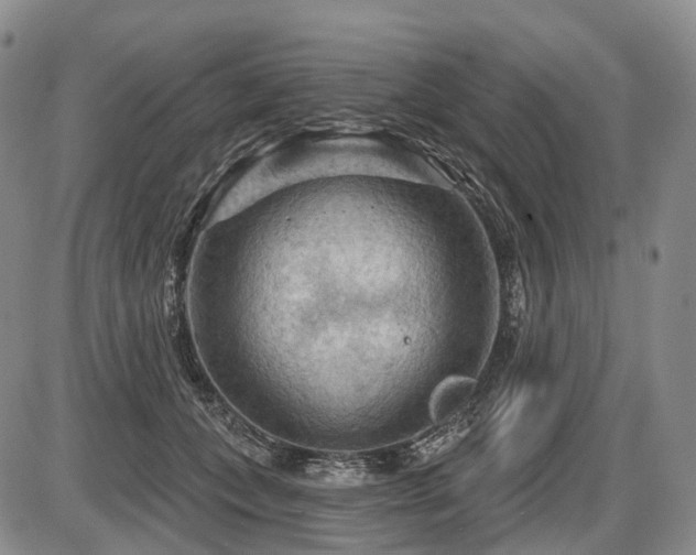 X0000087590559200704271310