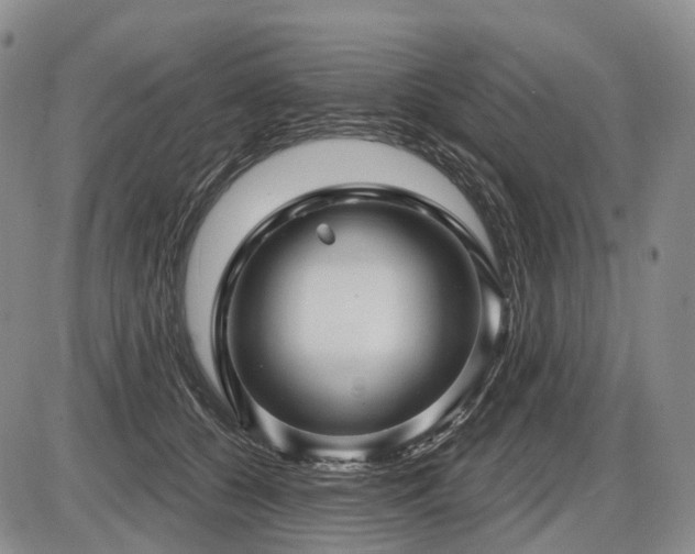 X0000087590560200704271310