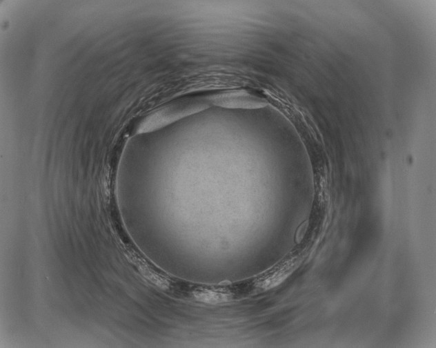 X0000087590561200704271310