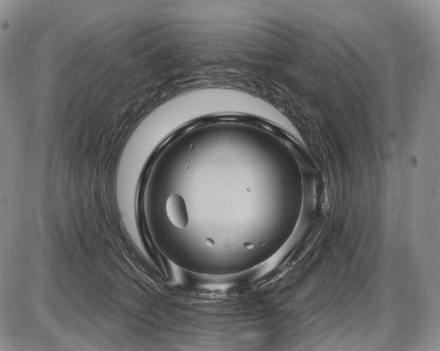 X0000087590562200704271310