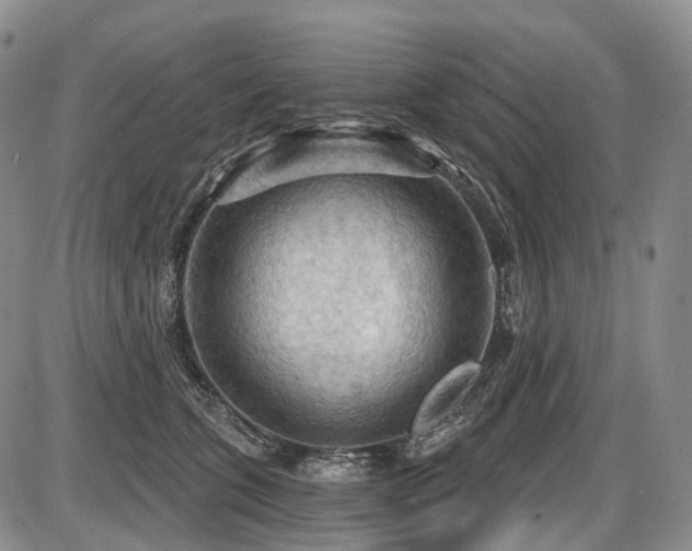 X0000087590563200704271310