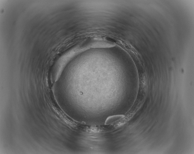 X0000087590565200704271310