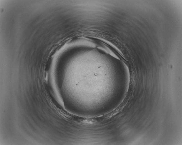 X0000087590566200704271310