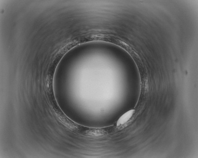 X0000087590567200704271310