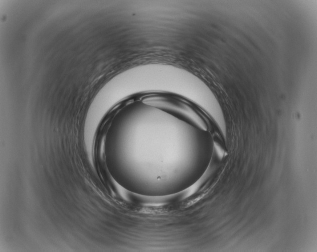 X0000087590568200704271310