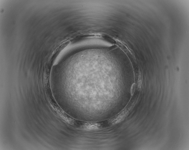 X0000087590569200704271310