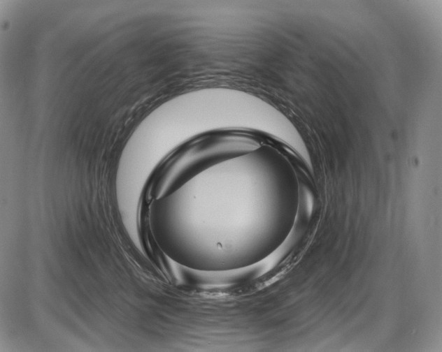 X0000087590570200704271310