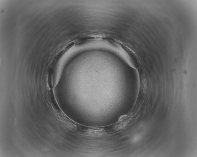 X0000087590571200704271310