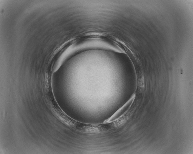 X0000087590572200704271310