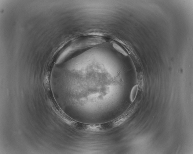 X0000087590573200704271310