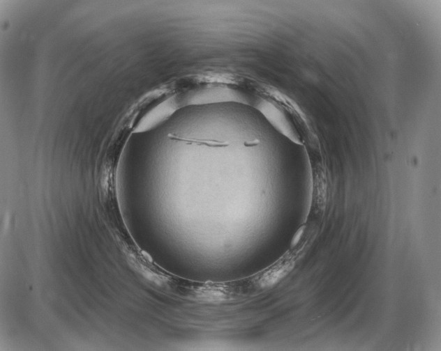 X0000087590574200704271310