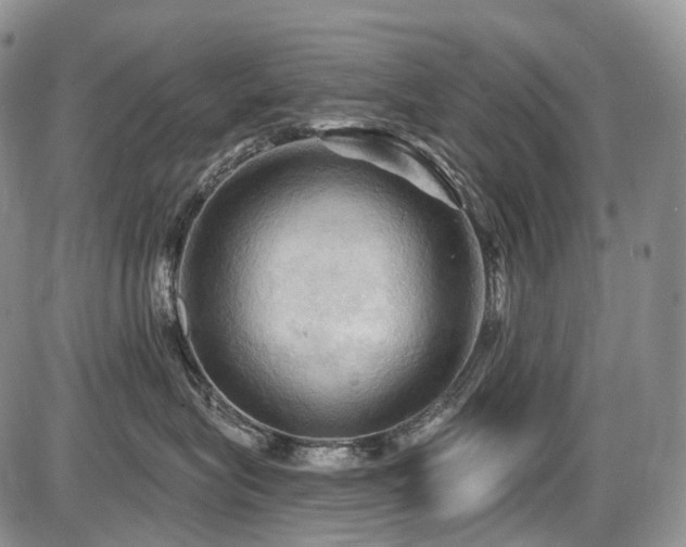 X0000087590575200704271310