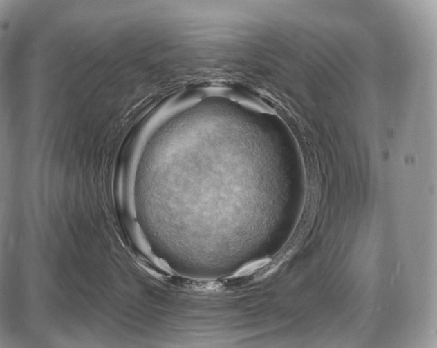 X0000087590576200704271310