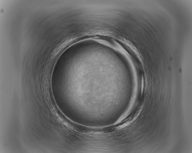 X0000087590577200704271309