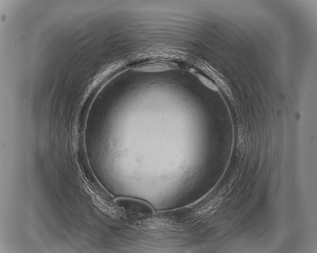 X0000087590578200704271309