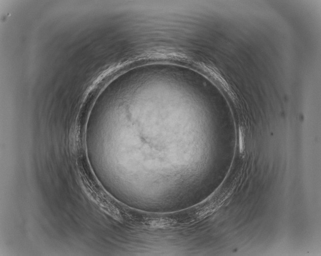 X0000087590579200704271309