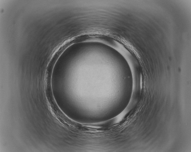 X0000087590580200704271309