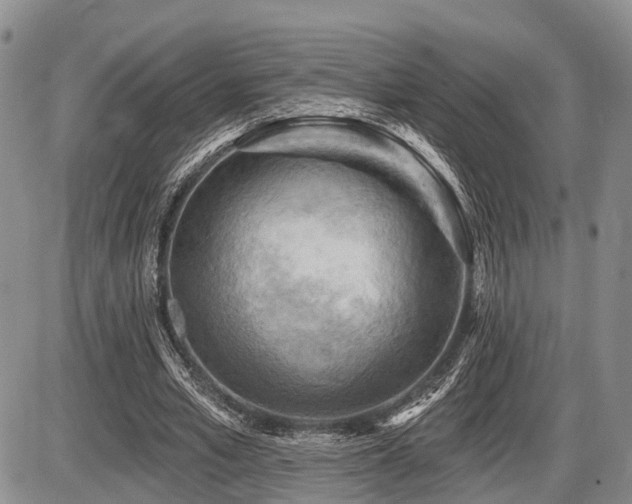 X0000087590581200704271309