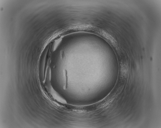 X0000087590582200704271309