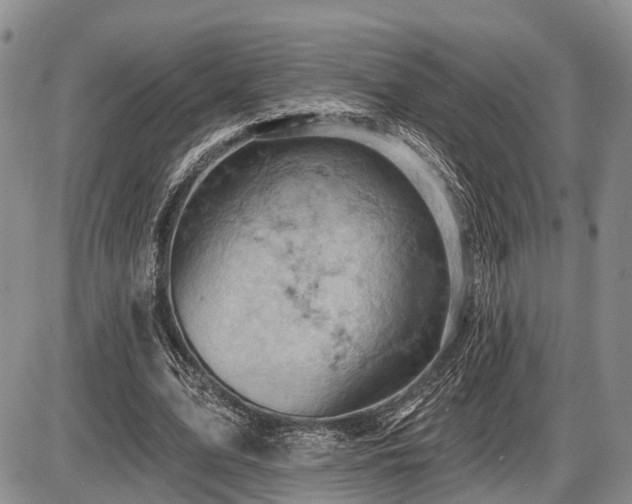 X0000087590583200704271309