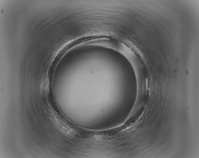 X0000087590584200704271309