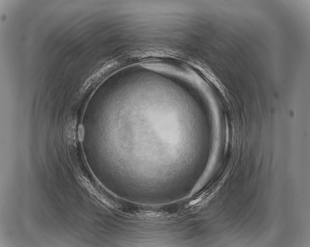 X0000087590585200704271309