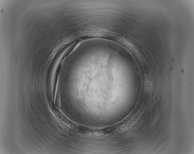 X0000087590586200704271309