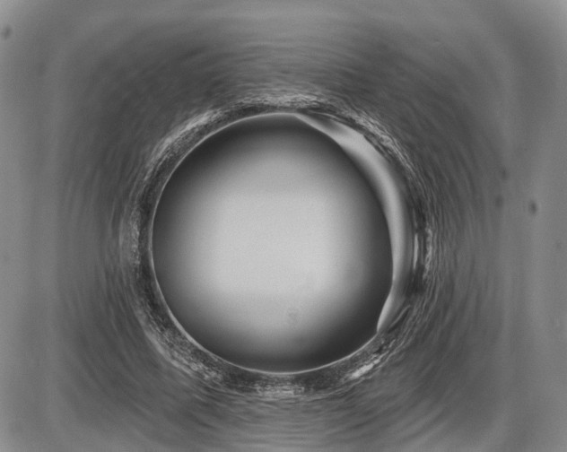 X0000087590587200704271309