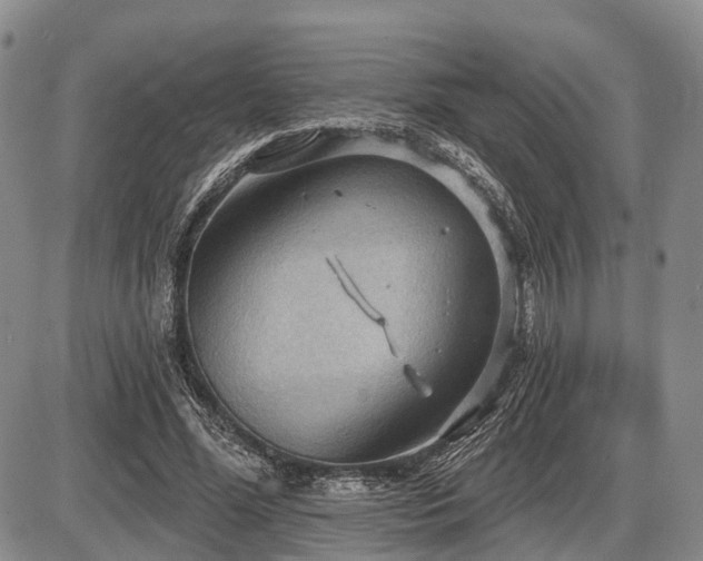 X0000087590588200704271309