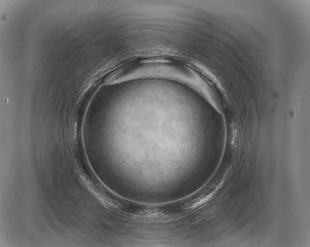 X0000087590589200704271309