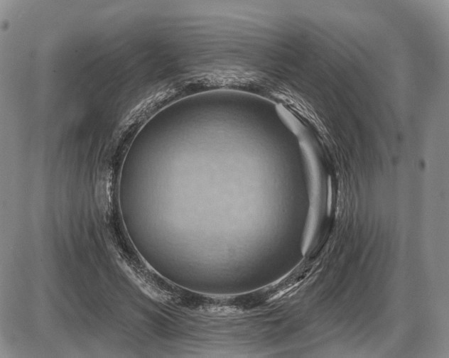 X0000087590590200704271309