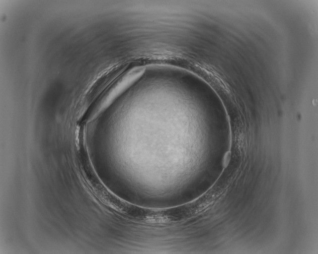 X0000087590591200704271309